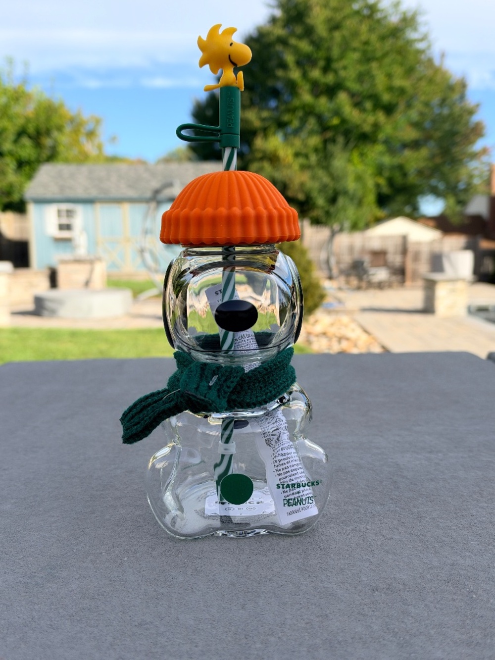 NEW NEVER USED Starbucks x Peanuts Snoopy Woodstock Glass Cold Cup 20oz 🎃 2026